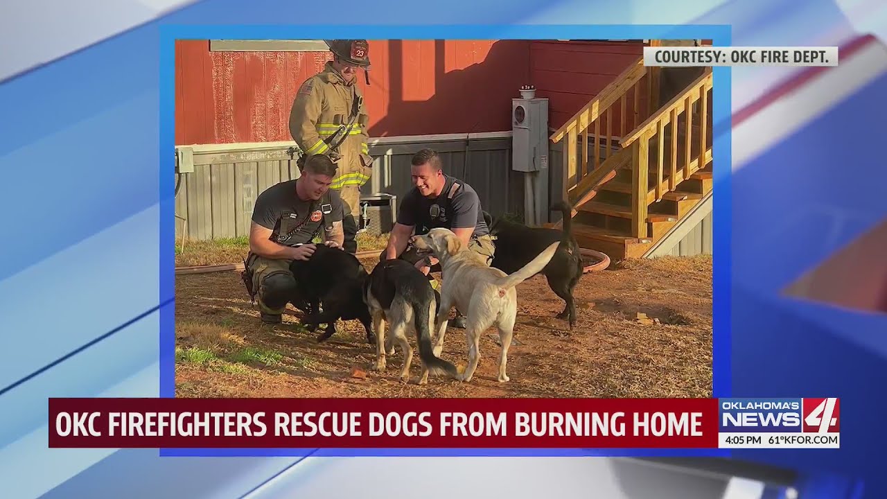 OKC firefighters rescue dogs from burning home - YouTube