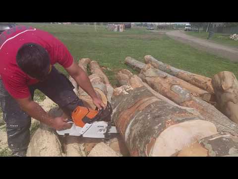 Video: Stihl mişar maşınının nə qədər sıxılması lazımdır?