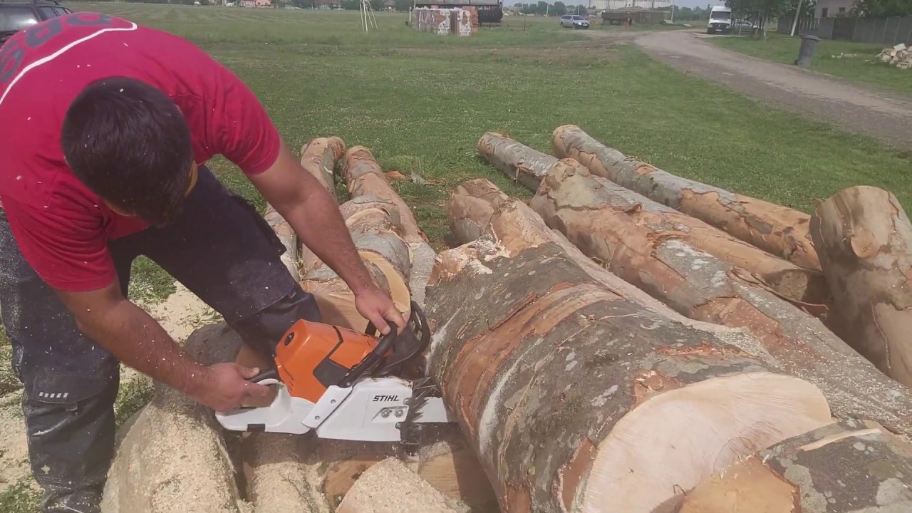 Stihl ms 661 C-M  quick cuts 💪💪