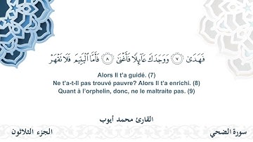 سورة الضحى - القارئ محمد أيوب | مشروع #100ختمة