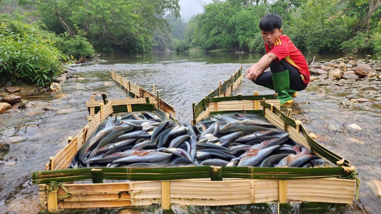 The boy Lam made his own bamboo fish trap and unexpectedly caught a lot ...