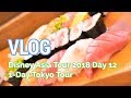 VLOG: Disney Asia Tour - Day 12 (1-Day Tokyo Tour)