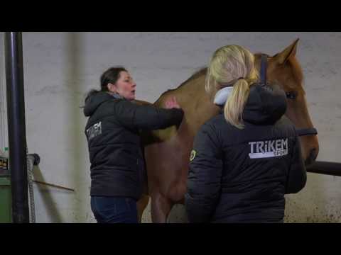 Video: När Hästar Kvävs - Hur Man Behandlar En Kvävningshäst
