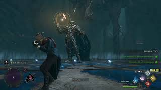 Download Lagu Hogwarts Legacy: Pensieve Guardian Boss Fight MP3