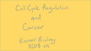 Cell Cycle Regulation and Cancer