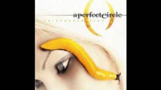 A Perfect Circle - Pet &amp; Lullaby