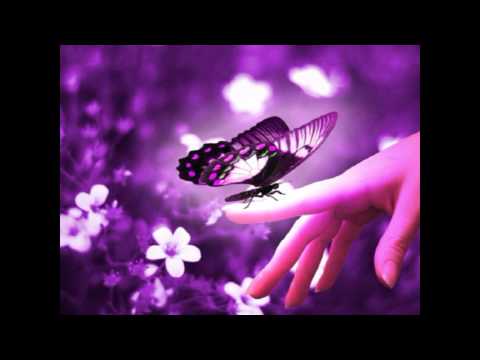 SMILE Dk Butterfly Lyrics 