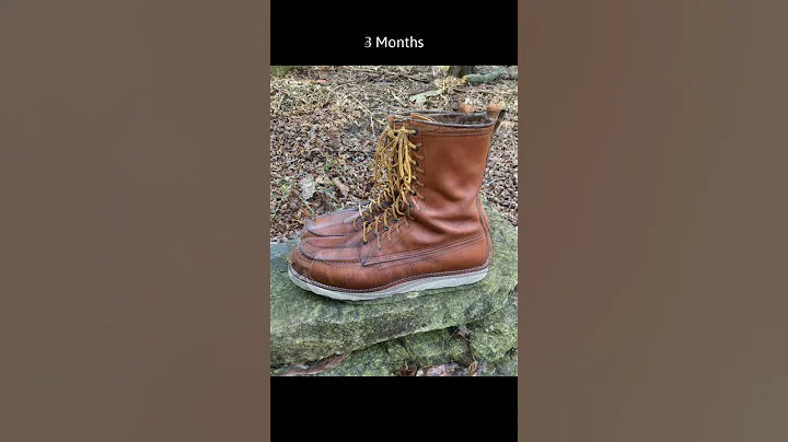 Red Wing 8-Inch Classic Moc 10877 in S.B. Foot Oro-Iginal