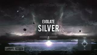 Evolate - Silver [HQ Edit]
