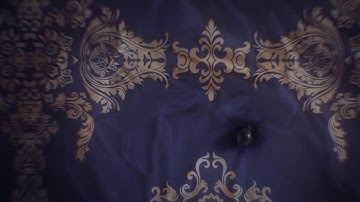 Mystery Case Files 14: Broken Hour Collector