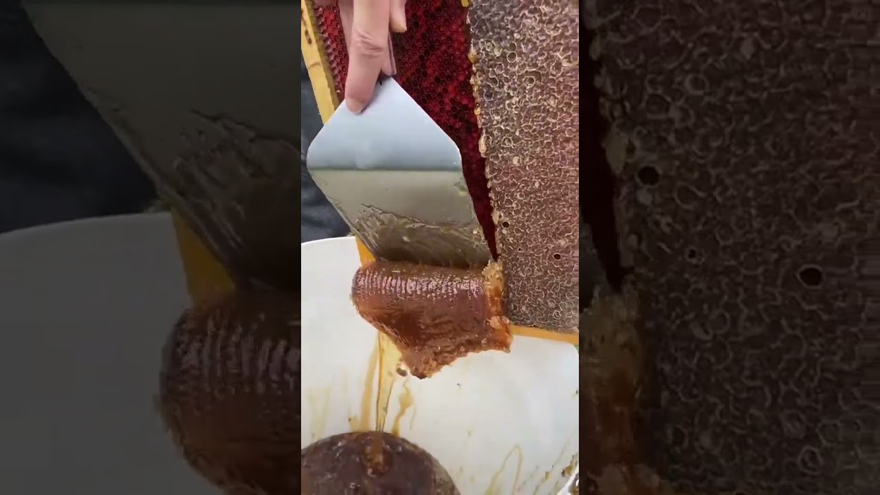 Australian Honey Comparison 