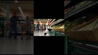 Panda Supermarket Adventure