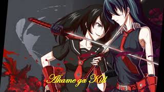 MrIamDifficult - Akame ga Kill - Akame & Kurome