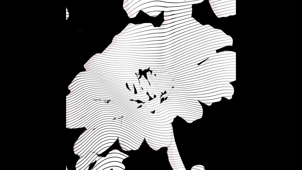 Oasis After All x Hozvverd - Life Polymorphisms (EP)