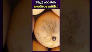 How To Start Mangoes Business In Telugu | #short #mangoes #mangoesbusiness  #moneyfactorytelugu