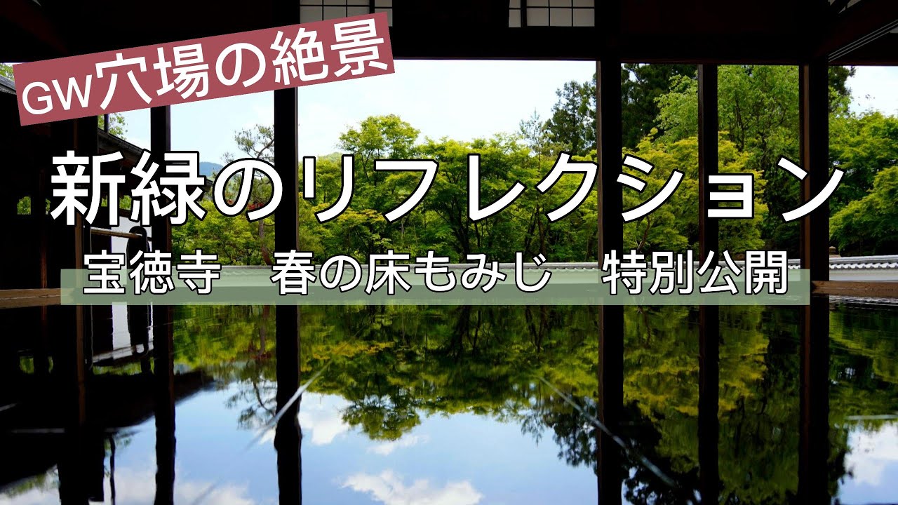 森の画廊「春もみじ」 森の画廊「春もみじ」 art x autumncolors at