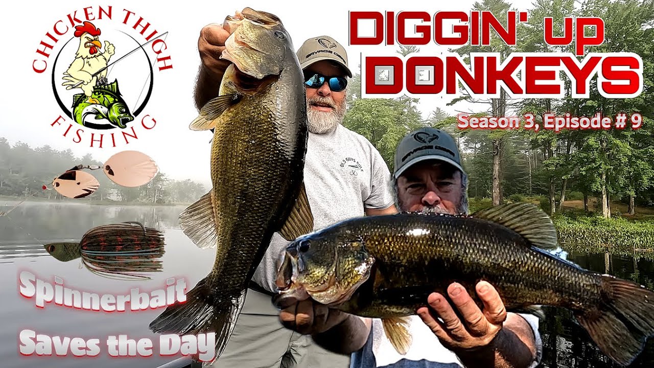 Big Bass on a Spinnerbait – Diggin' up Donkeys on Chicken Thigh Fishing #largemouthbassfishing