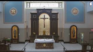 12th Sunday in Ordinary Time - June 21 2026