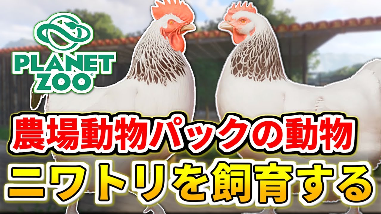 Planet Zoo] Raise chickens, introduced in the Farm Animal Pack