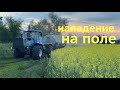 Нападение на поле!! СПАСАЕМ СОЮ!