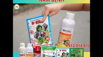 Thuốc trừ sâu Bestkill + Diệt nấm cây trồng hiệu quả cao