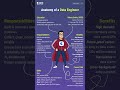 Anatomy of a Data Engineer