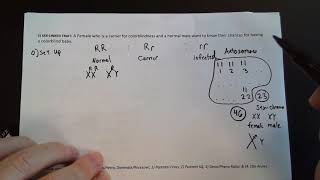 Punnett Practice #5 X-Linked Traits