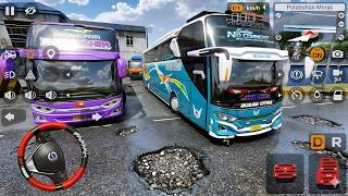 Bus No Comment Buana Citra War Basuri With Ratu Maher