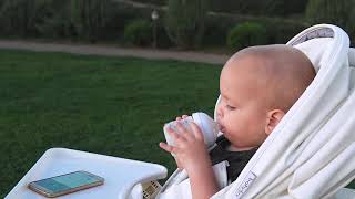 Коляска Babylux Future В Различной Комплектации