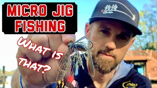 MICRO JIG FISHING - What is that