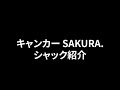 キャンカー SAKURA.シャック紹介