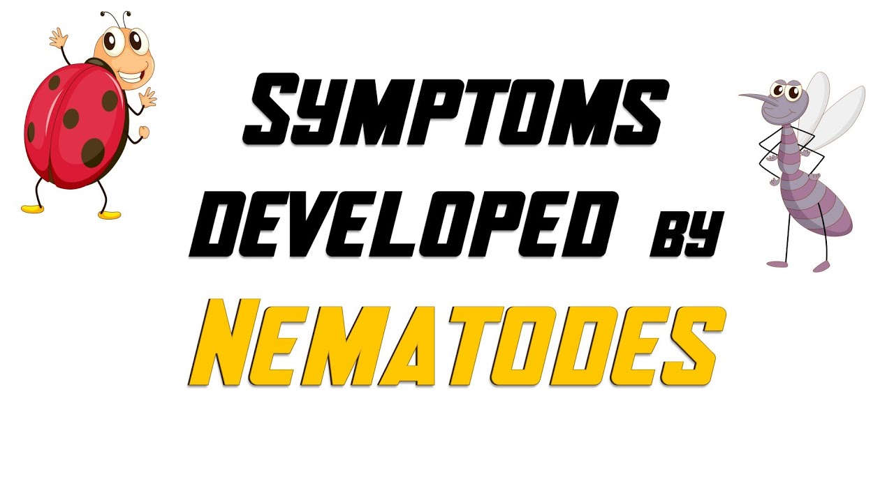 Symptoms of Nematode Damage in Plant | पौधे में सूत्रकृमि के लक्षण