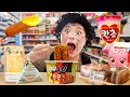 하이유의 편의점 야외 먹방! MUKBANG CONVENIENCE STORE FOOD 까르보나라 컵라면 샌드위치 삼각김밥 마카롱 RICH VS POOR GIRL | HIU 하이유