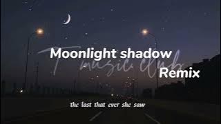 Moonlight shadow Remix tiktok song