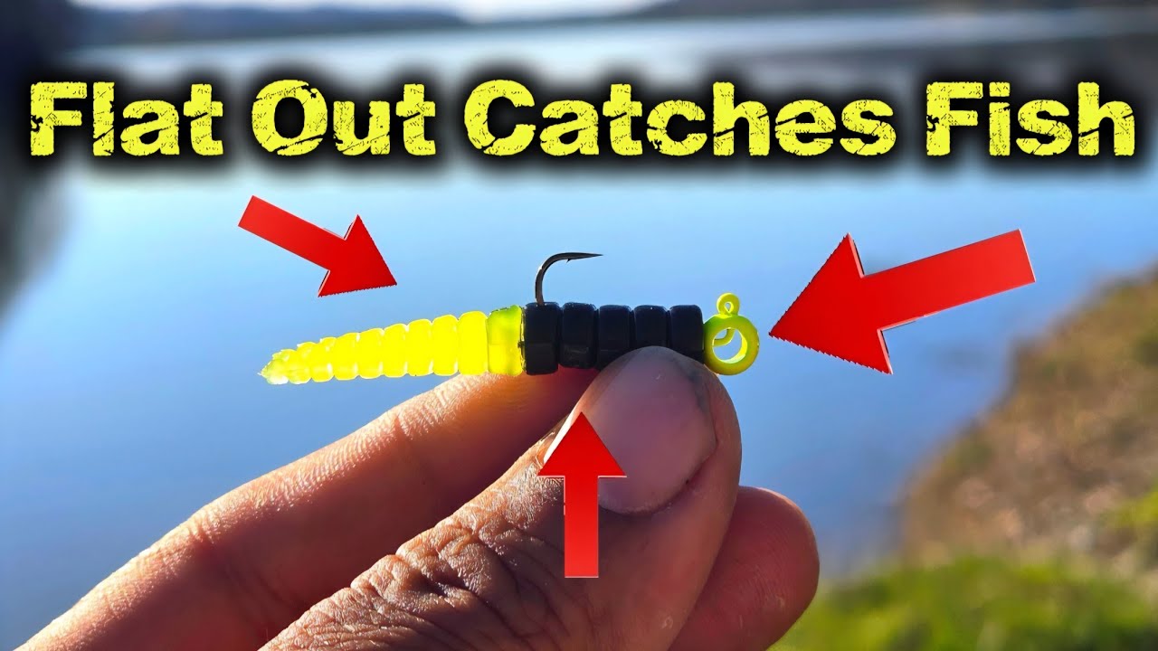 This Little Lure Catches EVERYTHING!