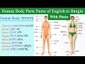 Body parts name with picture and bangla meaning  human body parts names in english to bangla