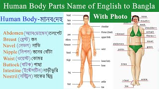 Body Parts Name with Picture and Bangla Meaning | Human Body Parts Names in English to Bangla screenshot 2