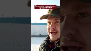 Недвижимость и Новостройки СПб — Где и На Сколько Подорожала Аренда Квартир и Почему?  #леонидбелик