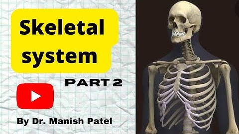 Skeletal System Part 2