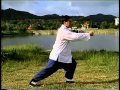 3. ????85??????? Authentic Yang Style Taichi 85 Form Fu Qingquan
