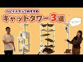 【商品担当が紹介】ペピイでしか買えないおすすめキャットタワー3選！