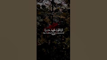 ﴿ فسينفقونها ثم تكون عليهم حسرة ثم يغلبون ﴾ سورة الأنفال ياسر الدوسري Muslim book #مسلمين#مسلم#قرآن
