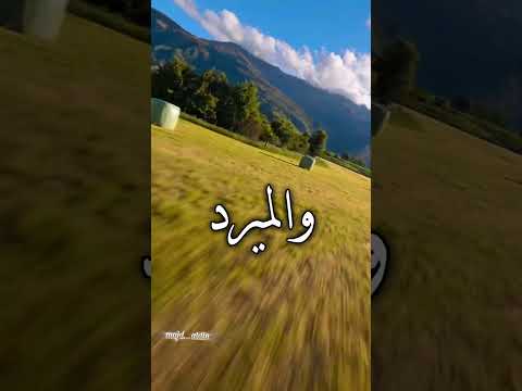 ناخذها بزود وخاوة