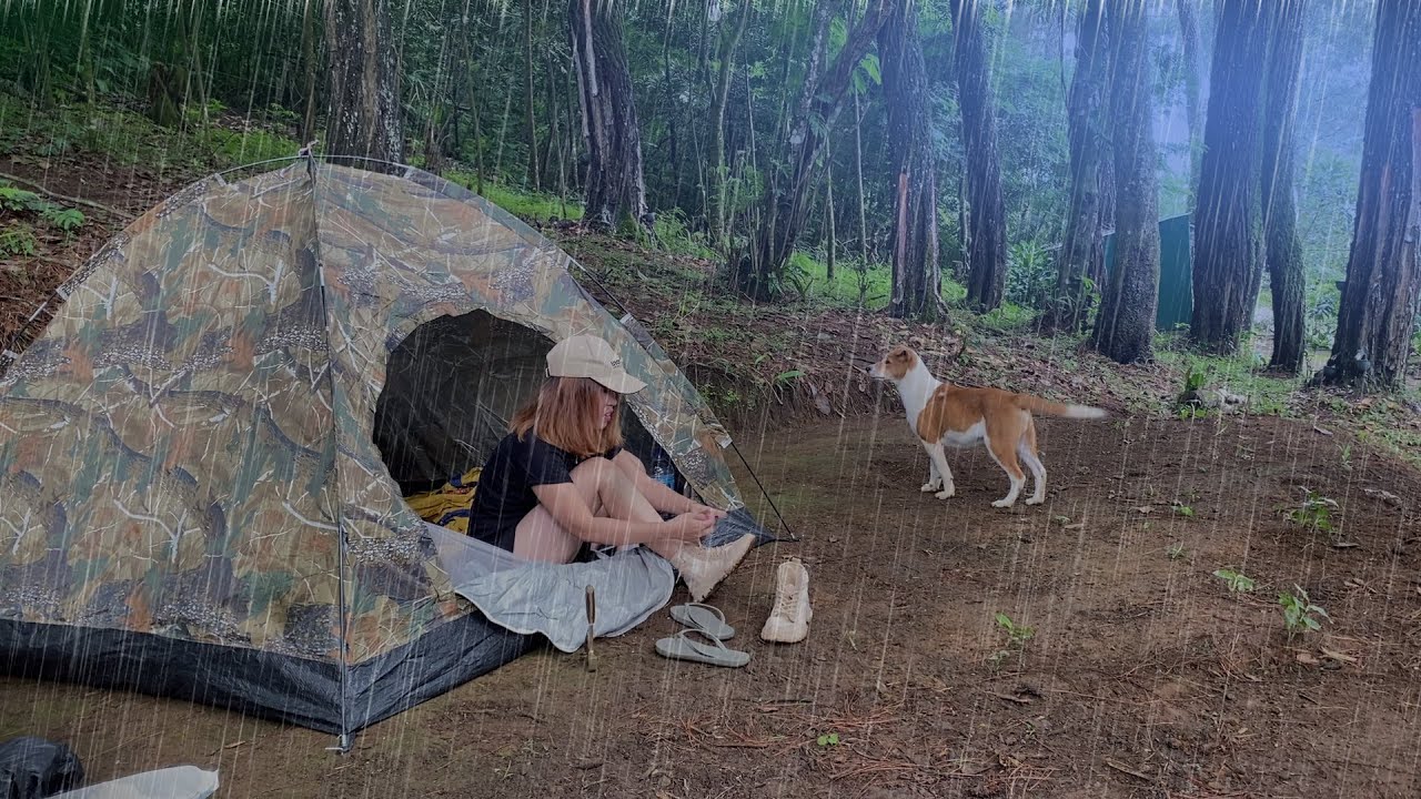 SOLO OVERNIGHT CAMPING IN THE HEAVY RAIN – RELAXING IN THE TENT WITH ...
