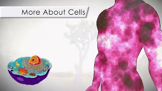 Introduction to the Human Cell in 12 Minutes!