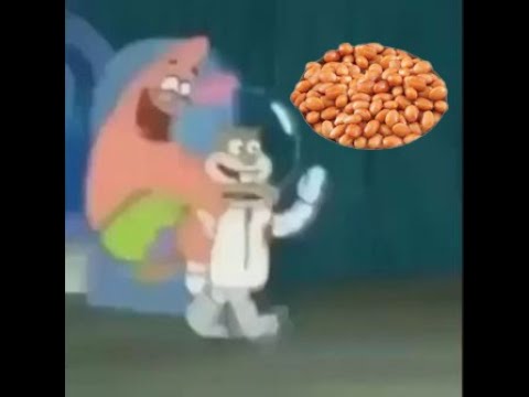 hey spongebob (beans wtf)