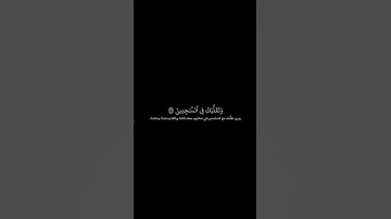 وديع اليمني | كروما شاشه سوداء قران كريم | تلاوة من سورة الشعراء