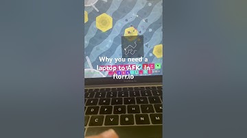 Why you need a laptop to AFK in florr Io ￼ #explore #random #florrio #florr #games #m28