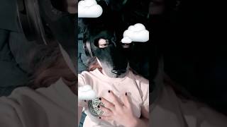 It could all…. POOW! {#furry #otherpaw #silly (not a #therian ) #ally #christian #catmask }