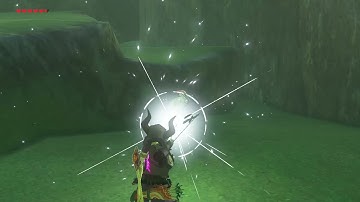 [DAY 209] of finding one korok seed everyday until Botw2 comes out
